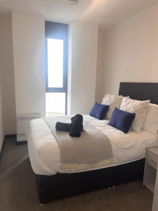 Highpoint One Bedroom *